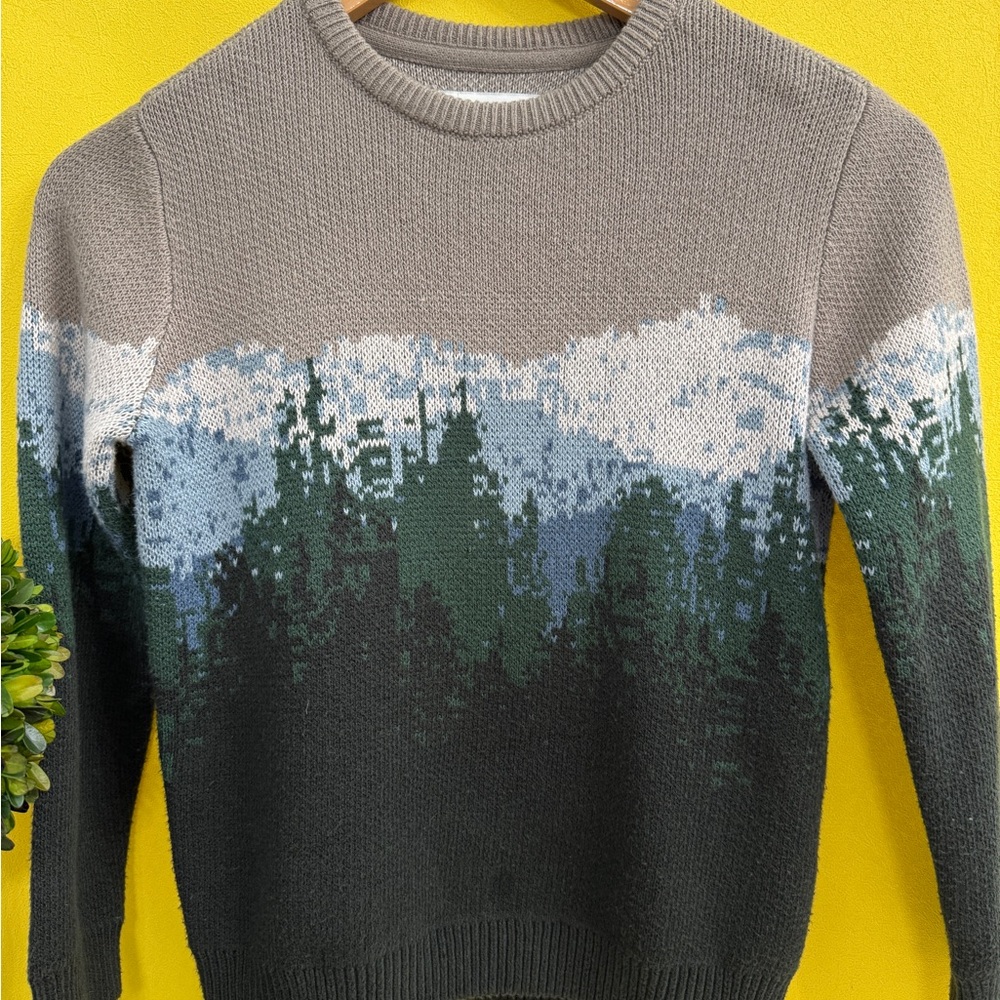 Abercrombie Kids Forest Scene Crewneck Sweater - Gray, Green, Blue